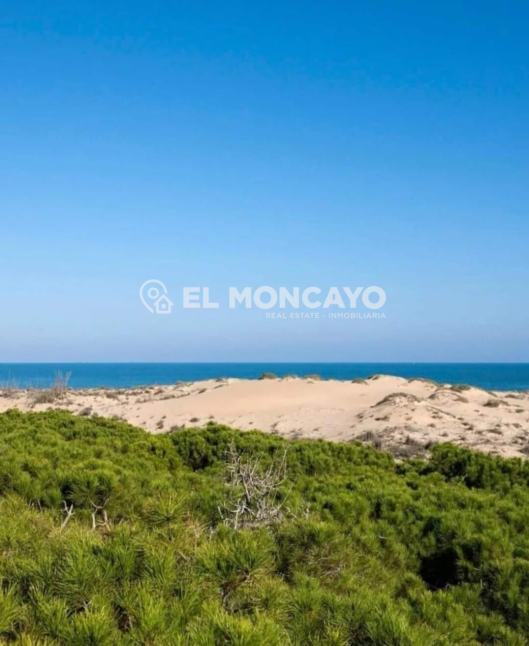 Fantástico apartamento con terraza en Guardamar del Segura,  - foto 37