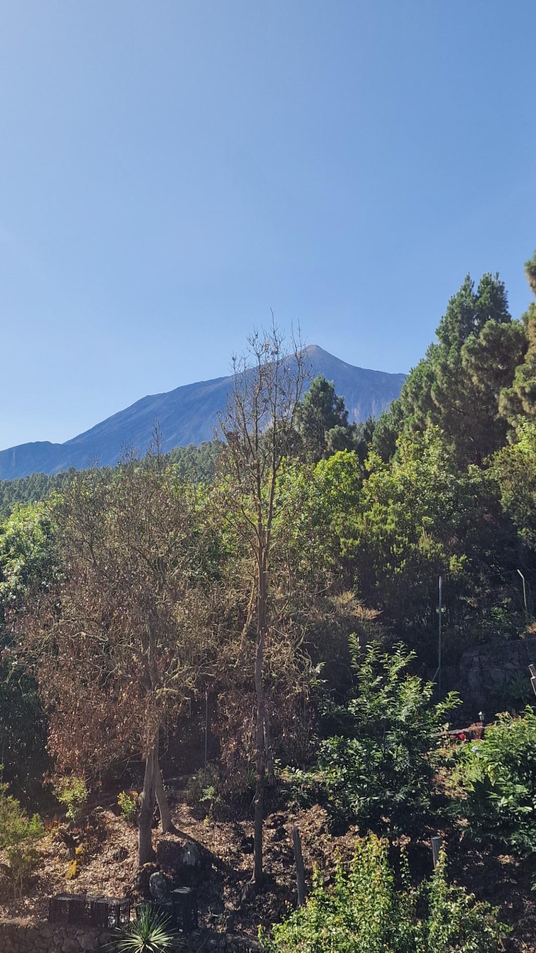 PRECIOSA FINCA CON VISTAS INCREIBLES AL TEIDE Y TODO EL NORT - foto 17