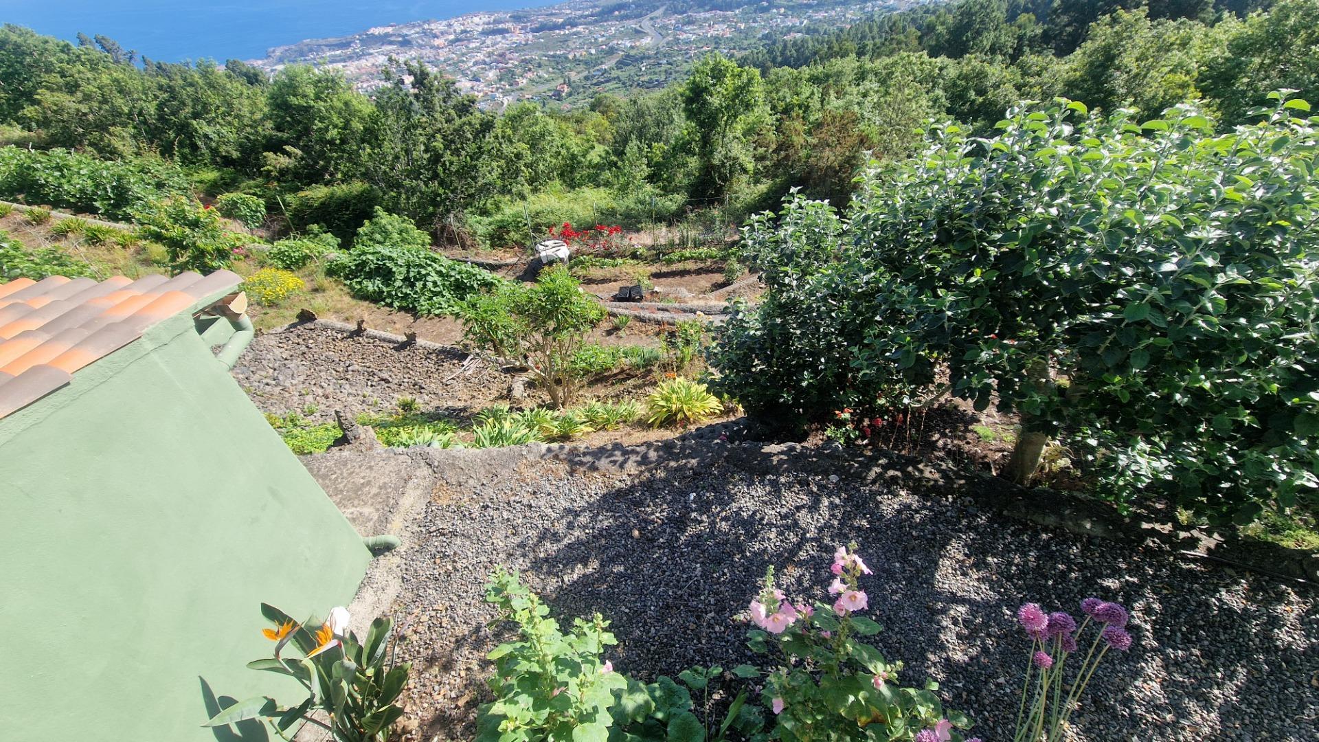 PRECIOSA FINCA CON VISTAS INCREIBLES AL TEIDE Y TODO EL NORT - foto 5