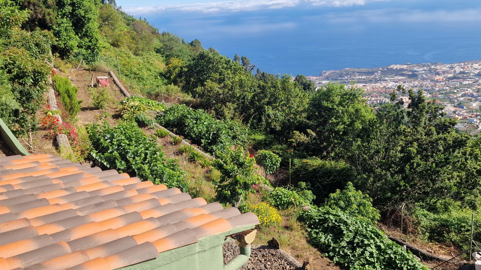 PRECIOSA FINCA CON VISTAS INCREIBLES AL TEIDE Y TODO EL NORT - foto 6
