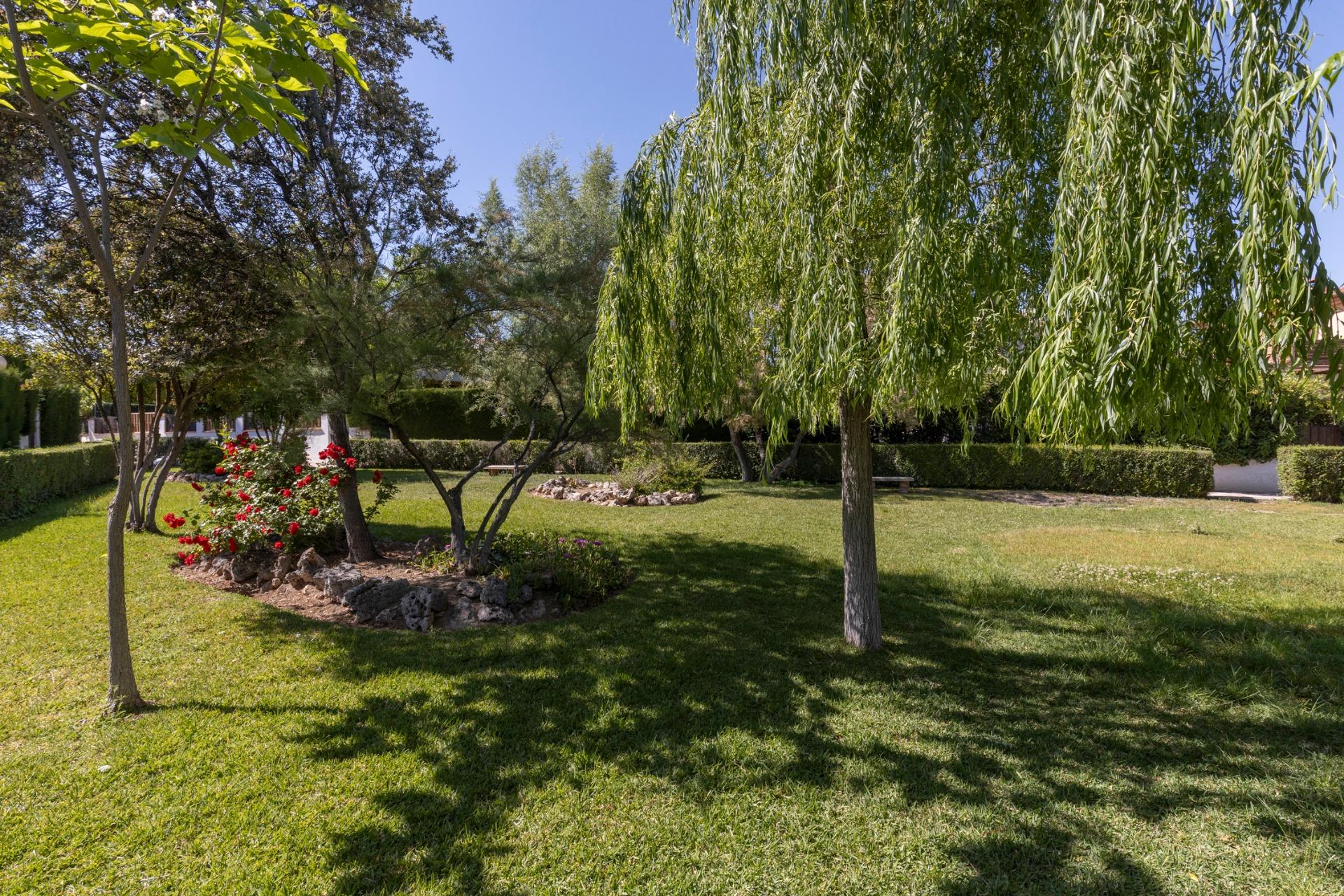 MAGNÍFICA CASA EN PANTANO DE CUBILLAS...CON MUCHO ESTILO Y R - foto 11