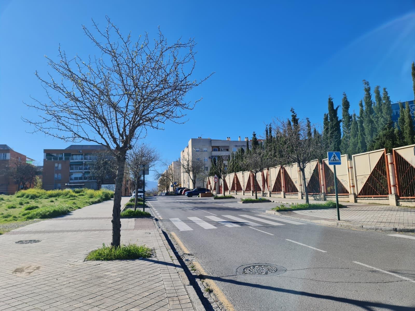 OPORTUNIDAD DE ADQUISICIÓN: VIVIENDA VPO CON INCIDENCIAS - foto 19
