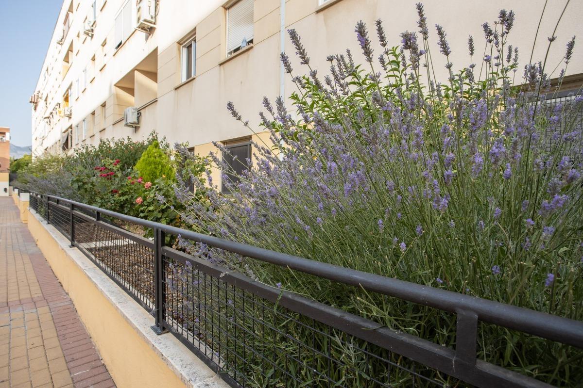 OPORTUNIDAD DE ADQUISICIÓN: VIVIENDA VPO CON INCIDENCIAS - foto 9