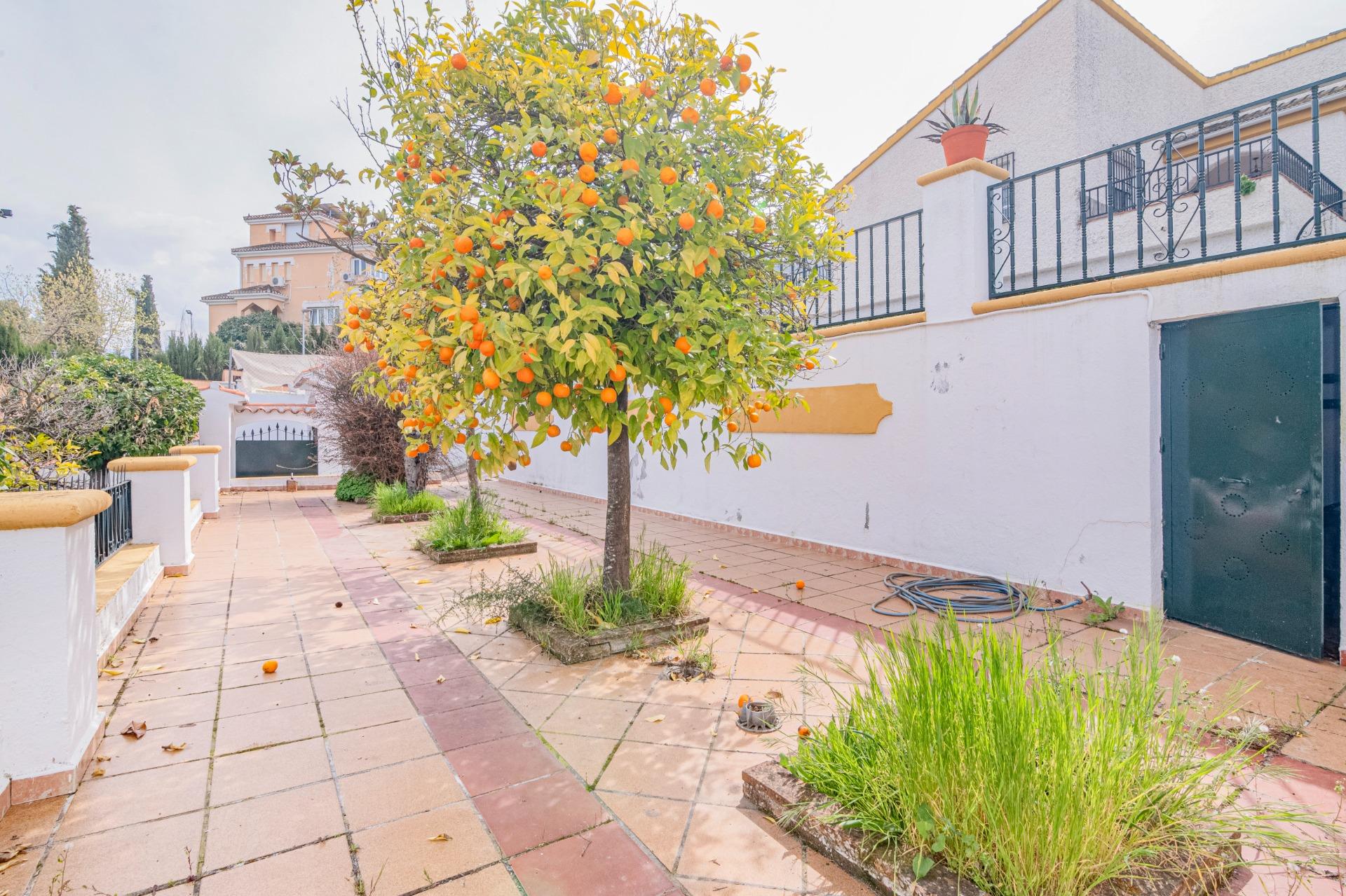 CHALET INDEPENDIENTE CON PISCINA Y PARCELA EN MONTELUZ - foto 43