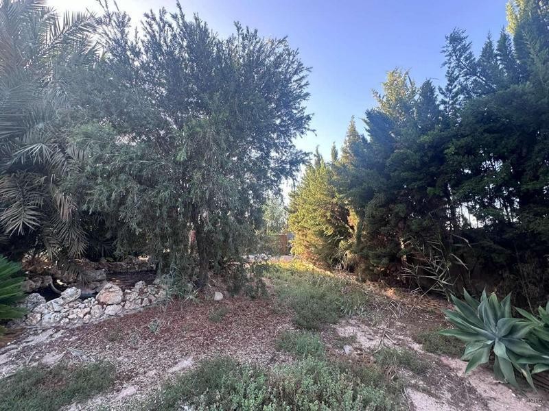 Venta de chalet en Catral, de 700m2 con 6 dormitorios y 4 ba - foto 14