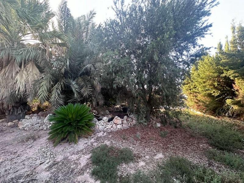Venta de chalet en Catral, de 700m2 con 6 dormitorios y 4 ba - foto 24