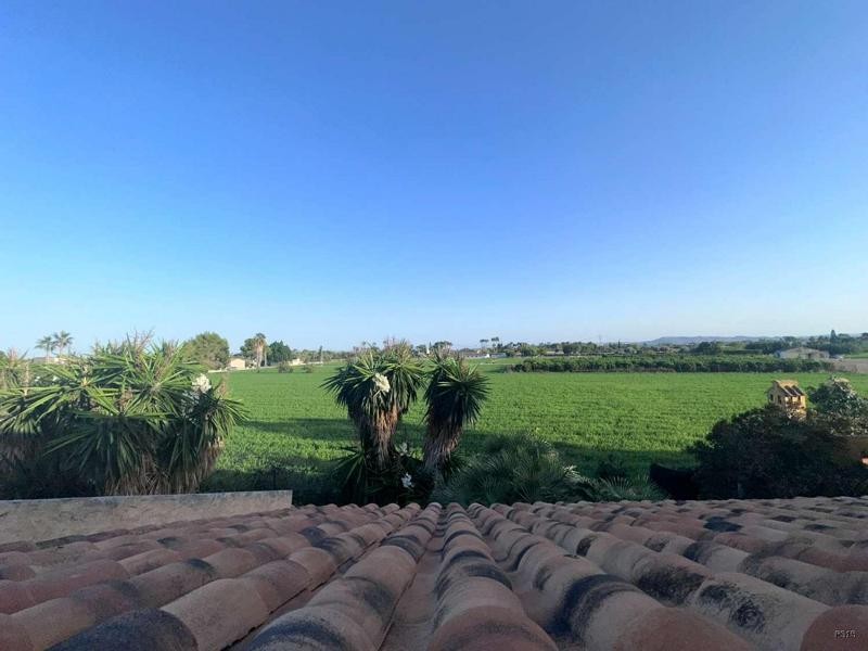 Venta de chalet en Catral, de 700m2 con 6 dormitorios y 4 ba - foto 41