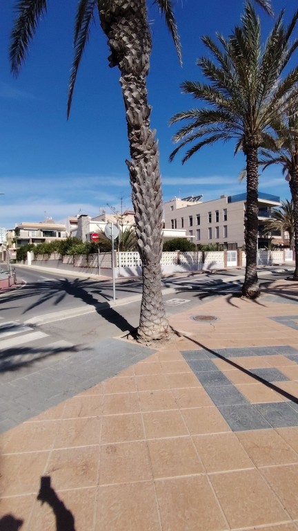 Piso en Venta en Pilar De La Horadada Alicante