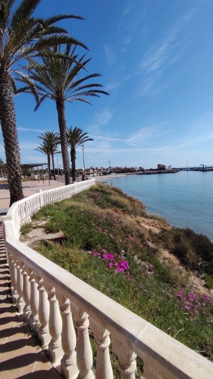 Local comercial en Venta en Pilar De La Horadada Alicante - foto 21