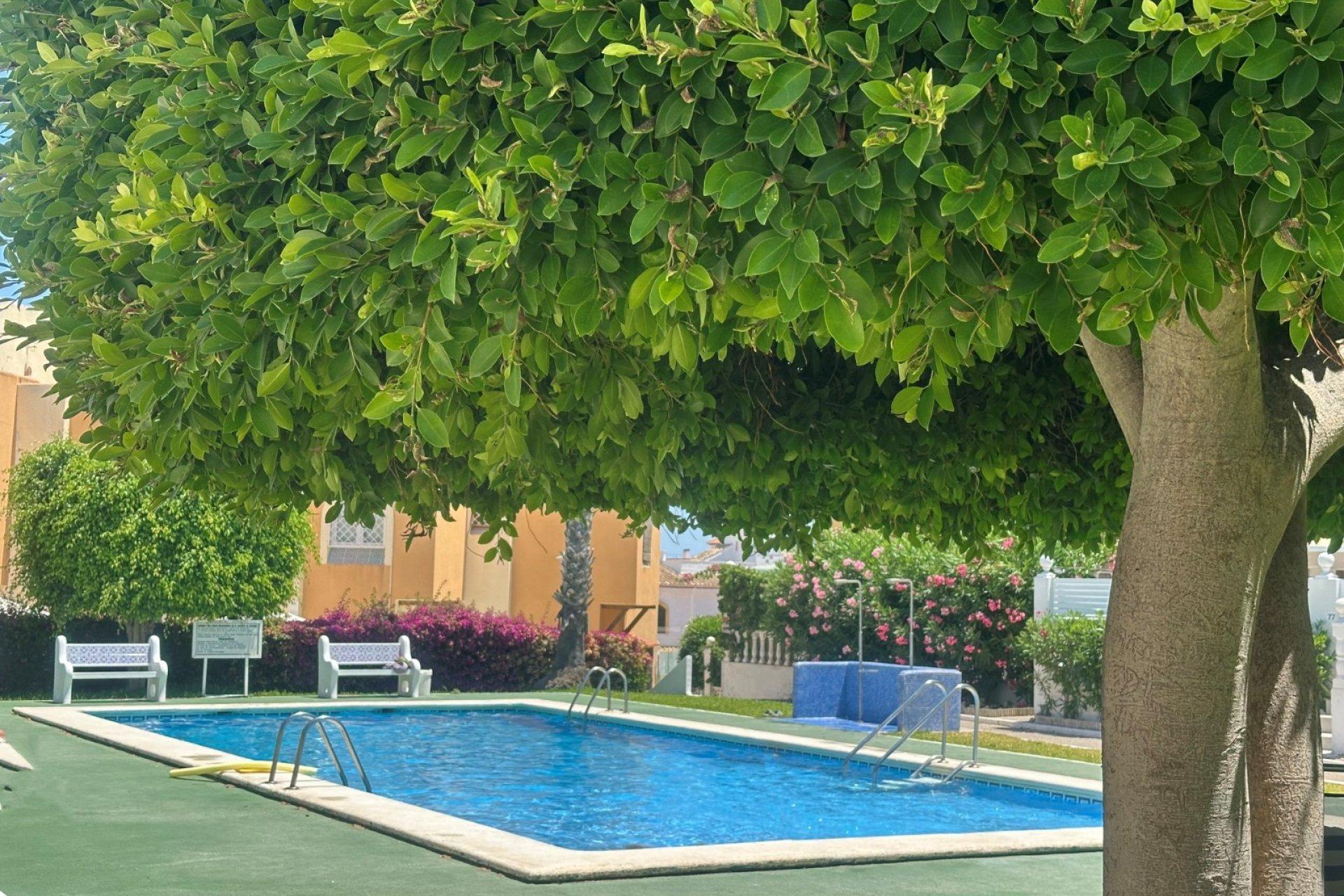 Bungalow 1 habitación 45m² en venta - Torreblanca - foto 5