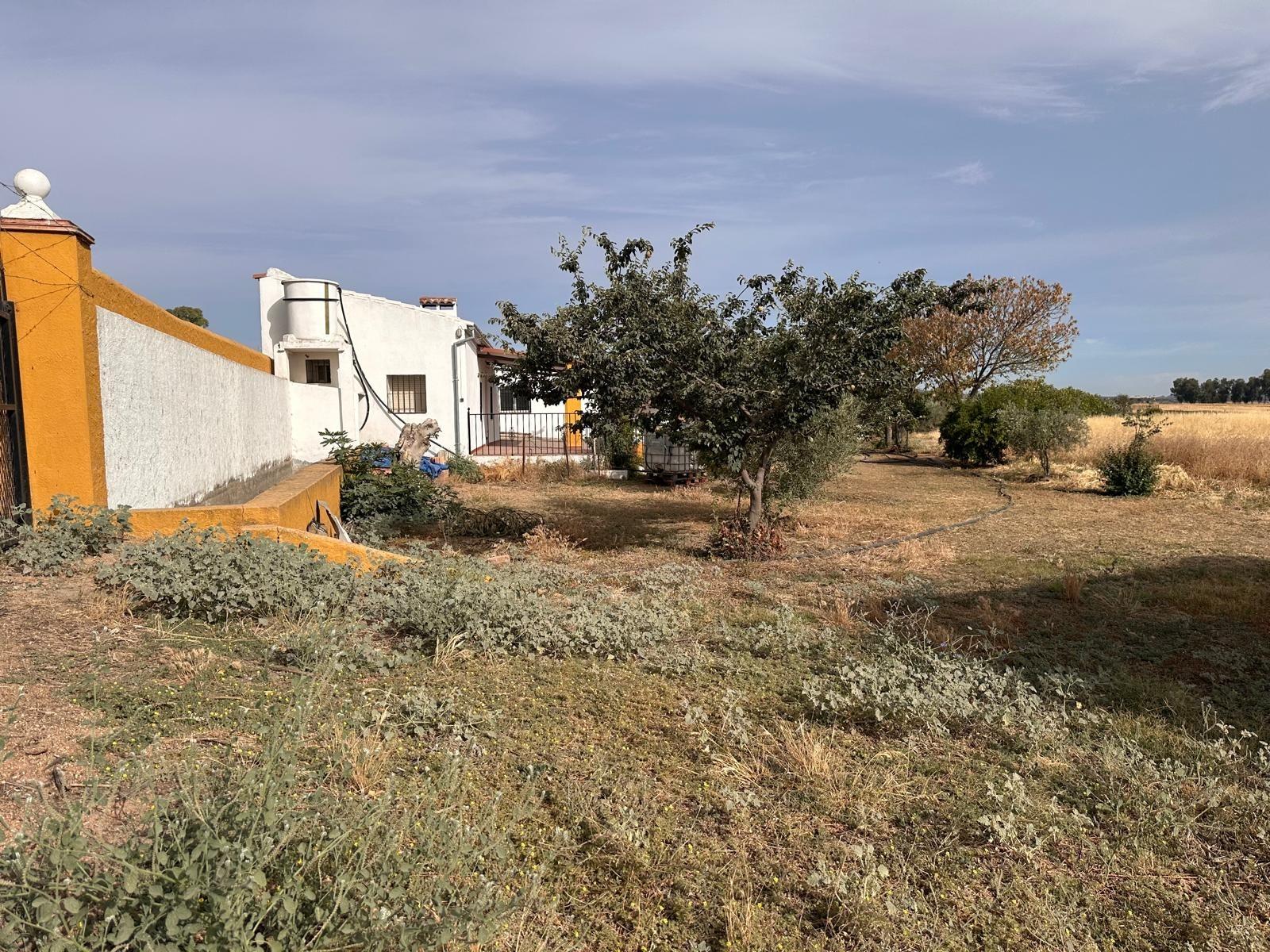 Terreno en Fuente Obejuna - foto 3