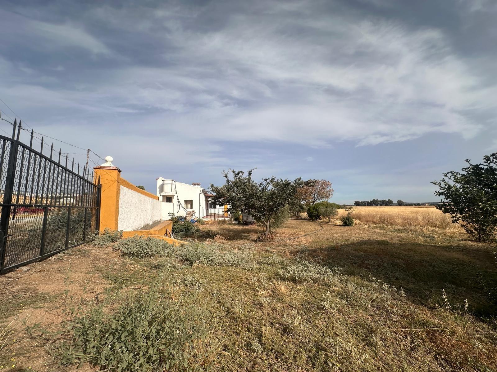Terreno en Fuente Obejuna - foto 4