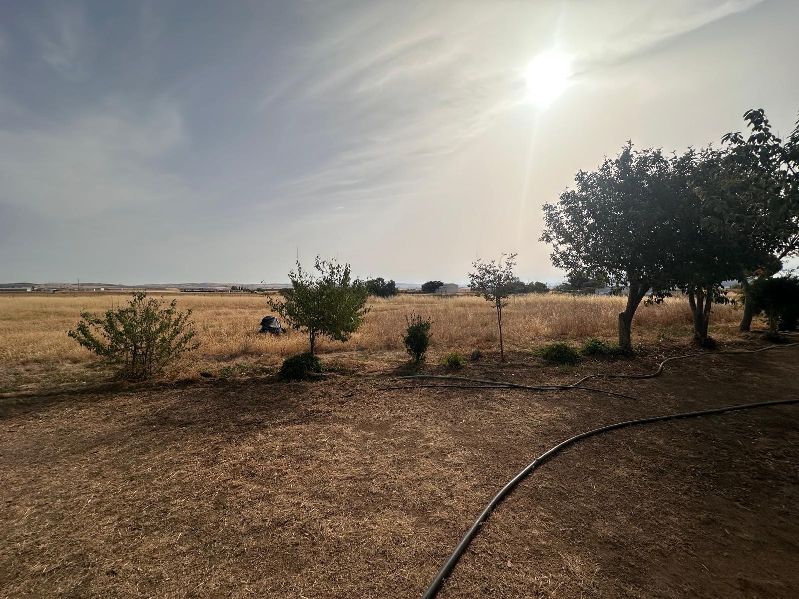 Terreno en Fuente Obejuna - foto 39