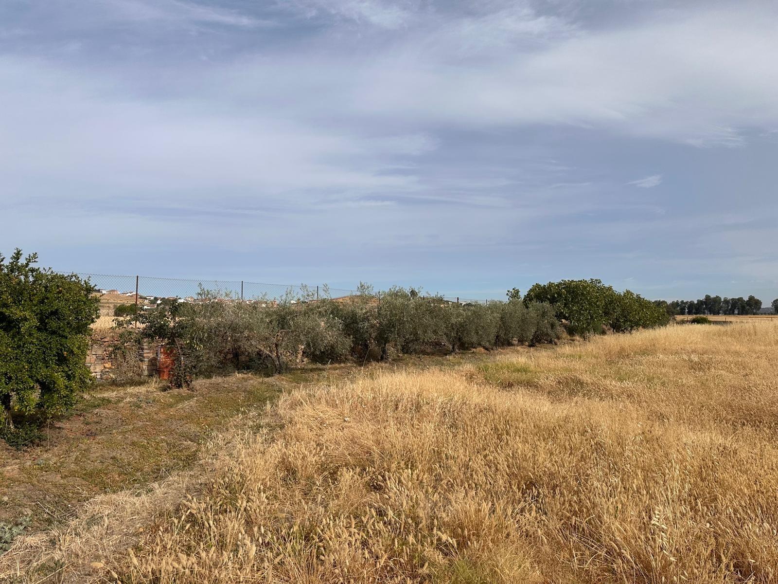 Terreno en Fuente Obejuna - foto 40