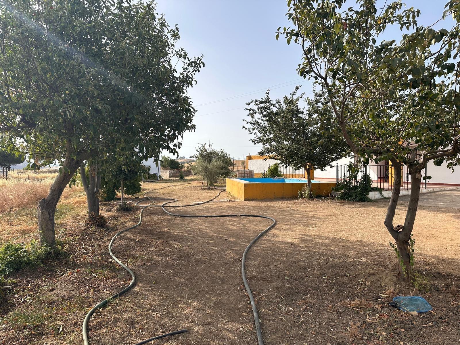 Terreno en Fuente Obejuna - foto 41