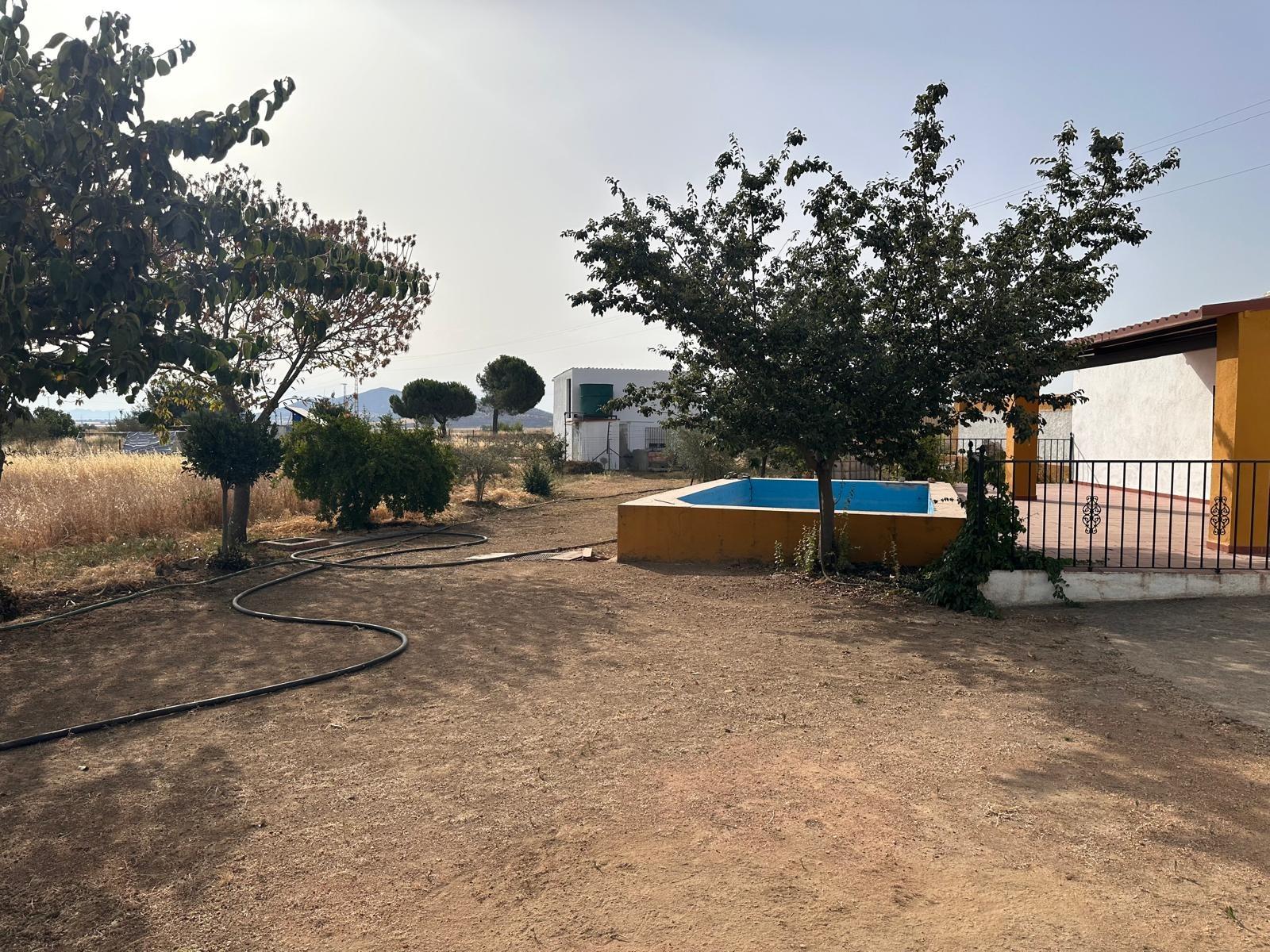 Terreno en Fuente Obejuna - foto 42