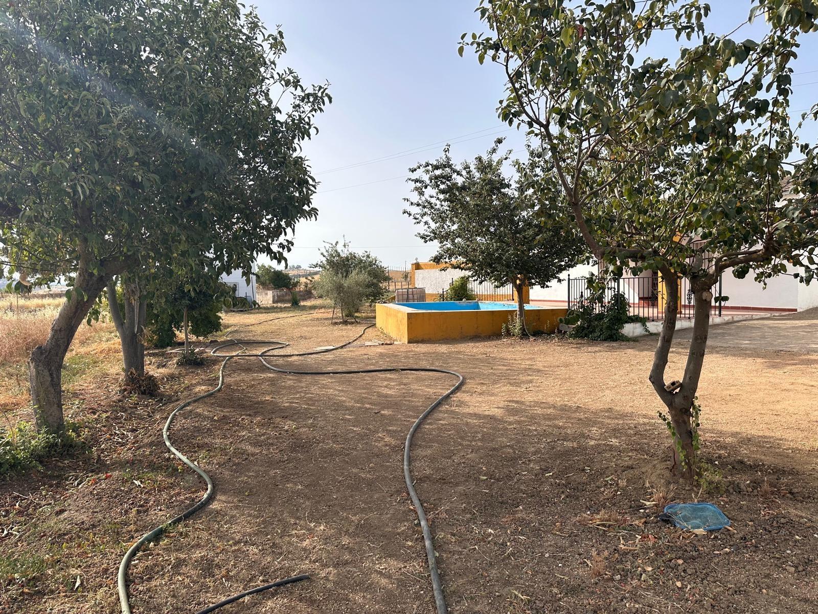 Terreno en Fuente Obejuna - foto 10