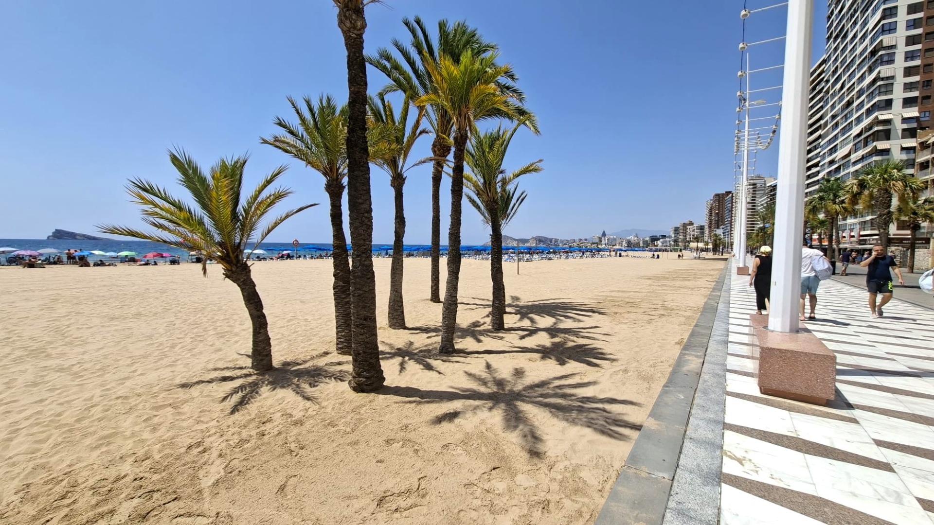 APARTAMENTO EN SEGUNDA LÍNEA DE PLAYA ( A200 MTS DEL MAR )