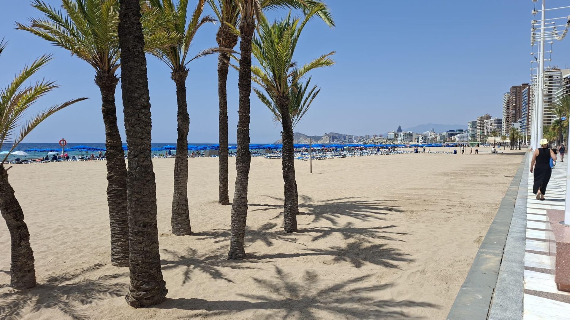 APARTAMENTO EN SEGUNDA LÍNEA DE PLAYA ( A200 MTS DEL MAR ) - foto 26