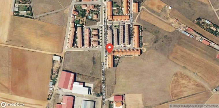 Casa-Chalet en Venta en Sahagun León - foto 2