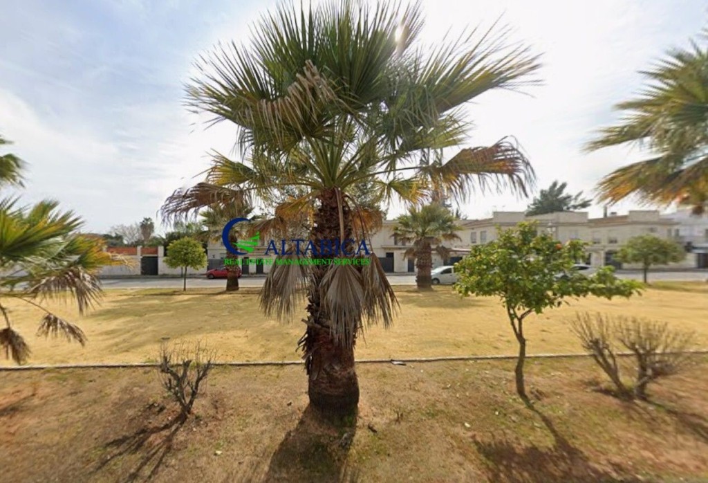 Casa-Chalet en Venta en Villanueva Del Ariscal Sevilla - foto 3