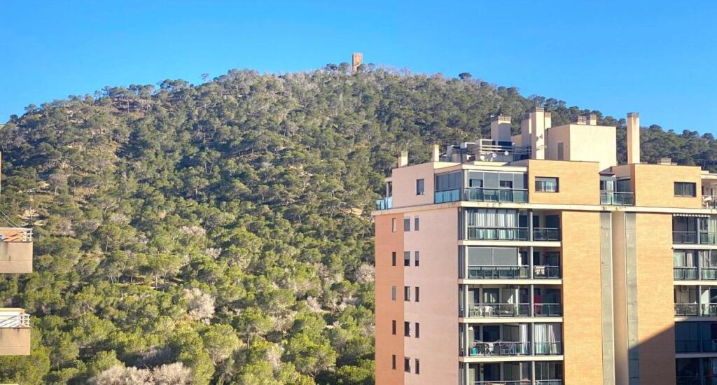 ÁTICO DÚPLEX DE LUJO EN EXCLUSIVA | PRIMERA LÍNEA DE LA CALA - foto 52