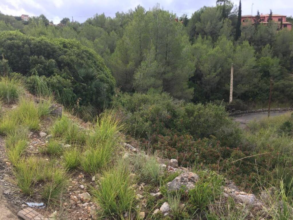 Solar urbano residencial no cosolidado de 860 m2 en Olivella - foto 15
