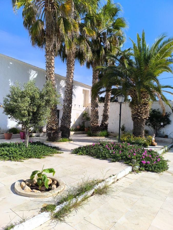 Villa 5 habitaciones 900m² en venta - Torre del rico - foto 4
