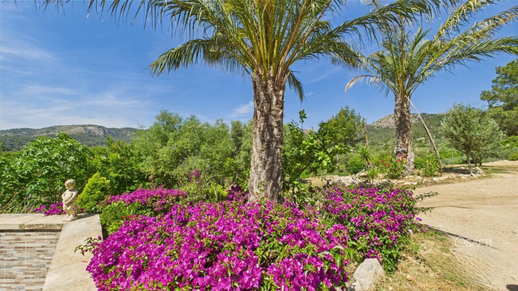 S'Arraco: Finca excepcional con piscina privada - foto 12