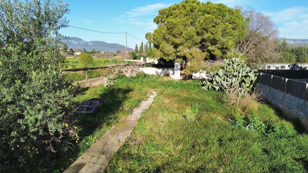 Son Sardina - Solar Urbano a la venta - Calle Rosa Canals -  - foto 3