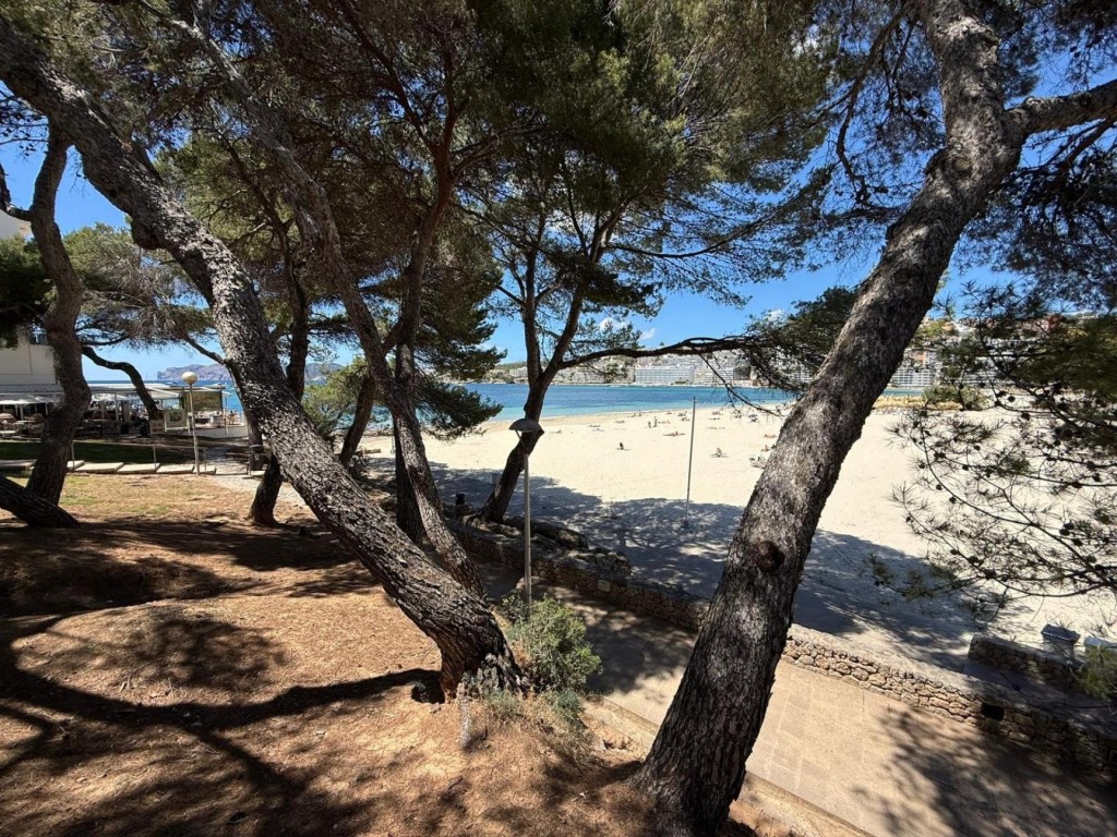 Local comercial en venta - Santa Ponsa - Gran potencial - foto 26