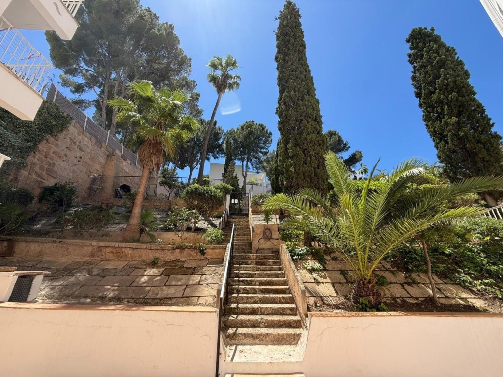 Local comercial en venta - Santa Ponsa - Gran potencial - foto 31