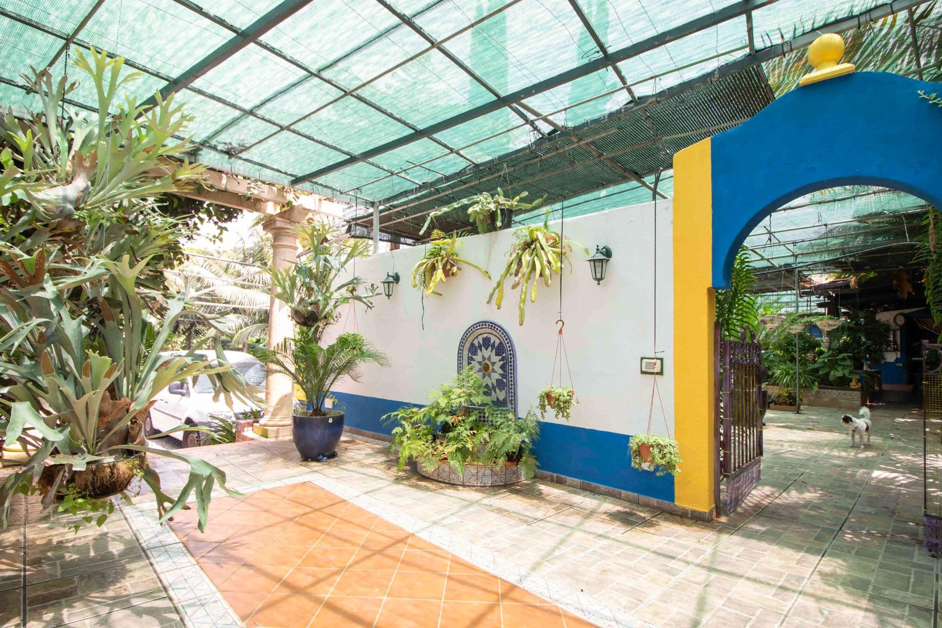 EDIFICIO DE 3 VIVIENDAS Y TERRENO URBANO-RÚSTICO EN ICOD DE  - foto 18