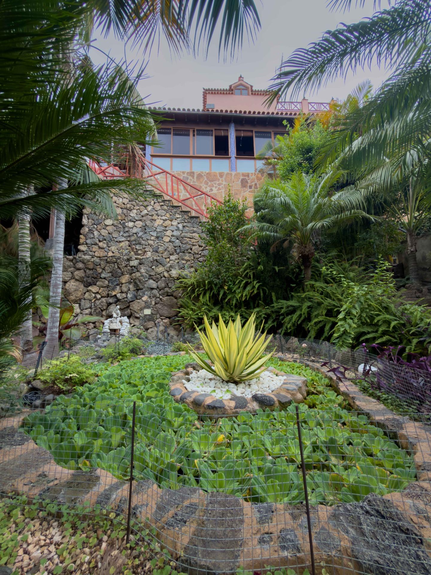 EDIFICIO DE 3 VIVIENDAS Y TERRENO URBANO-RÚSTICO EN ICOD DE  - foto 34