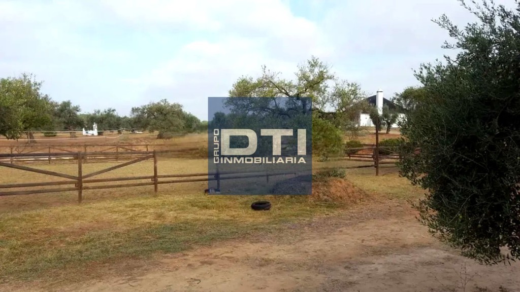 Casa en terreno de 5ha Villamanrique de la Condesa - foto 7