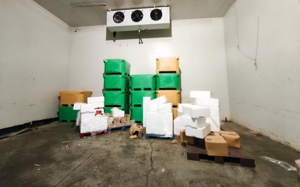 Nave industrial con cámaras frigoríficas en venta – Polígono - foto 12
