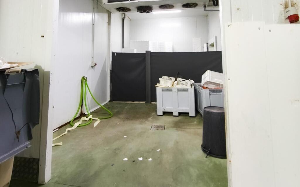 Nave industrial con cámaras frigoríficas en venta – Polígono - foto 14