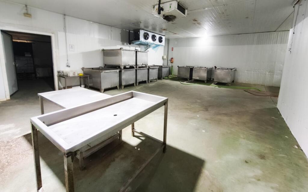 Nave industrial con cámaras frigoríficas en venta – Polígono - foto 17