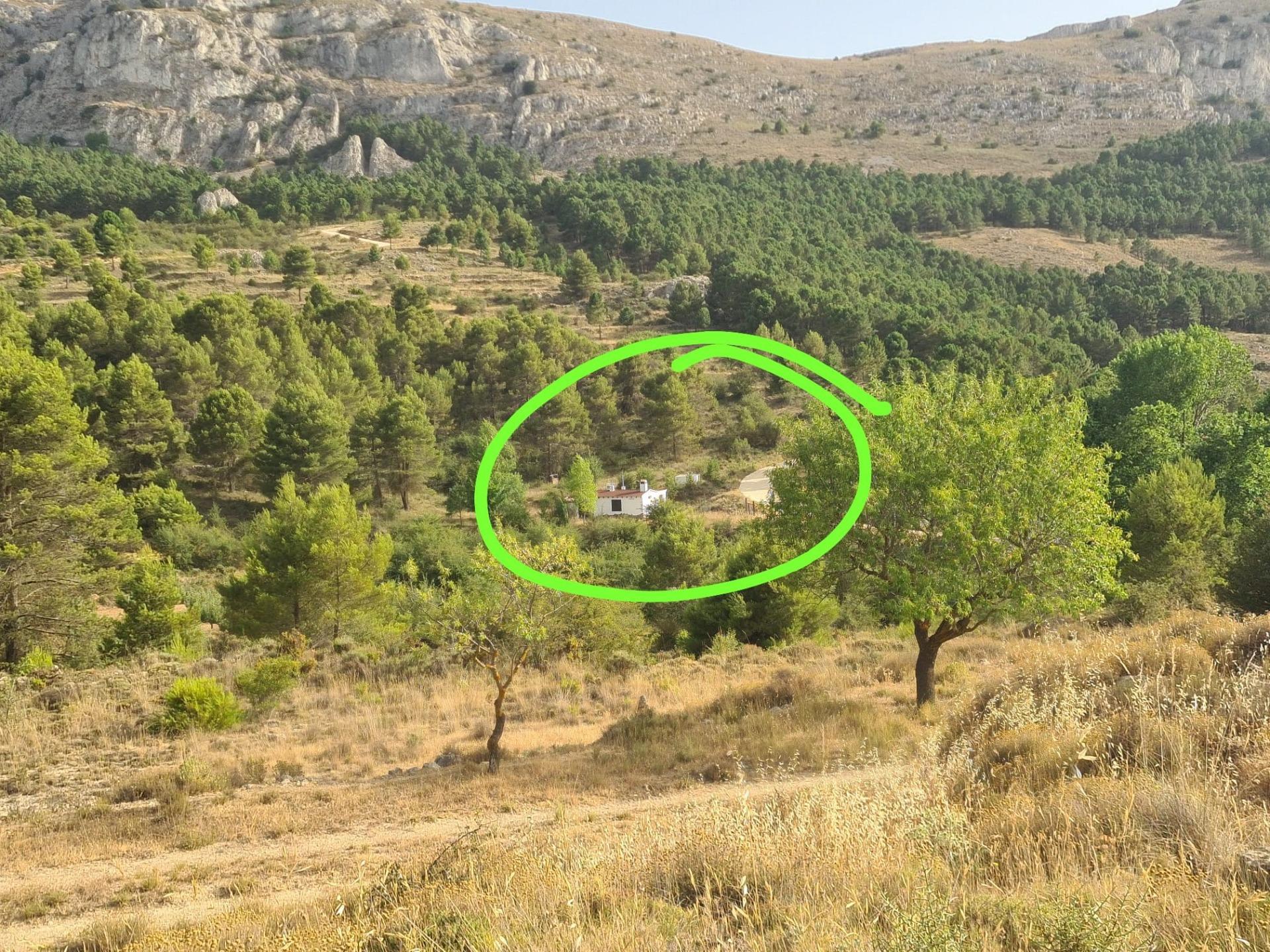 Finca en Confrides - foto 7