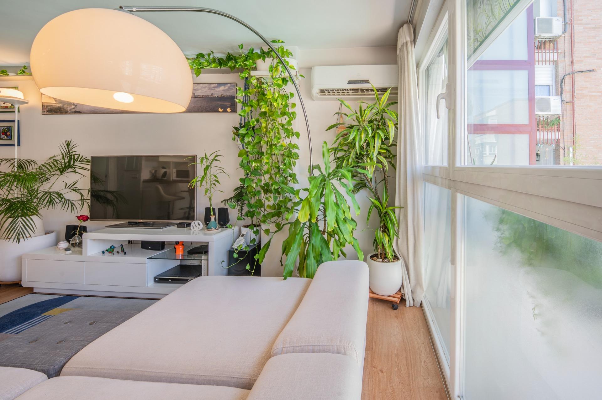 ¡¡Luminoso, moderno y listo para entrar a vivir | Junto a Pl - foto 13