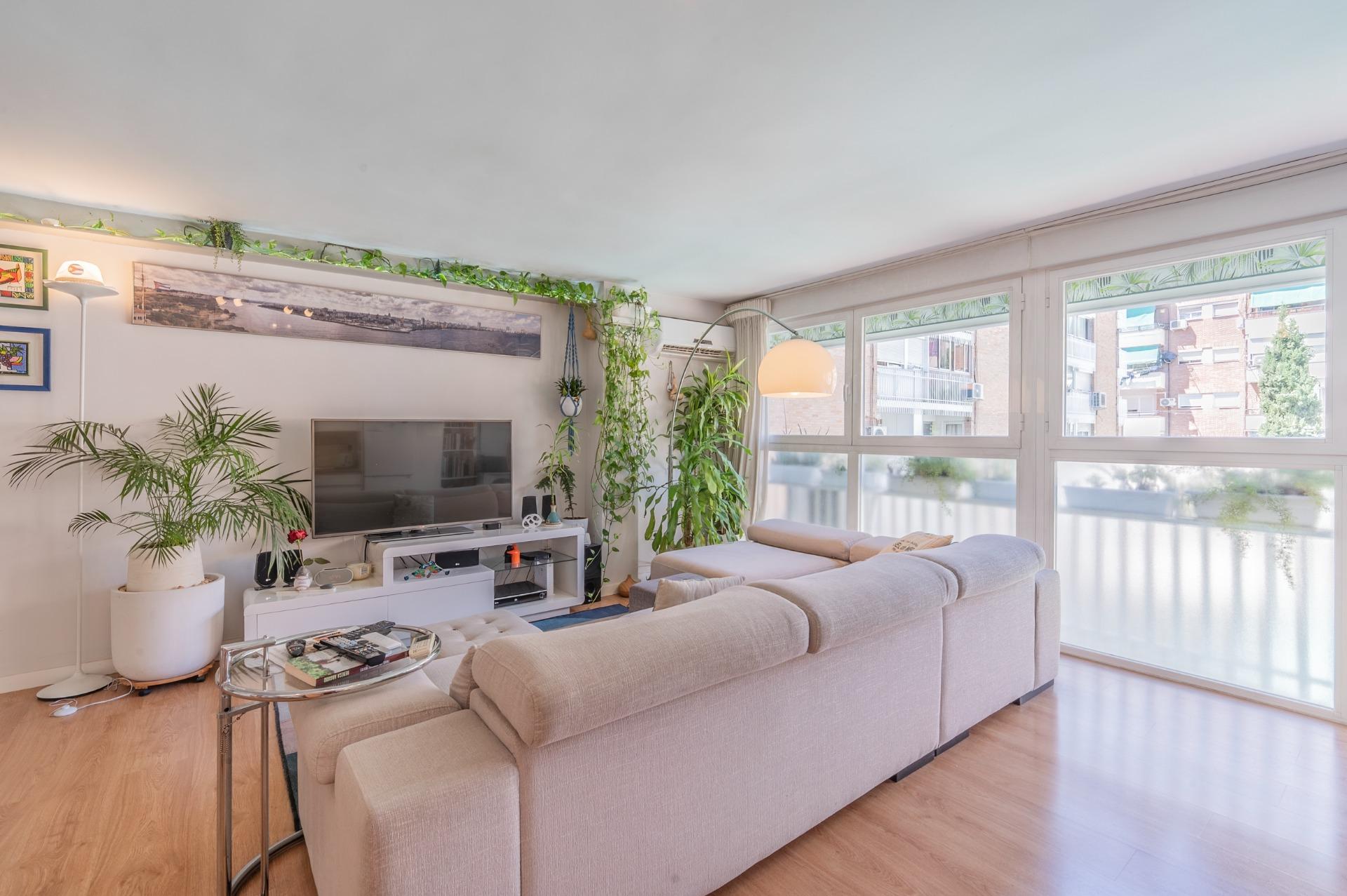 ¡¡Luminoso, moderno y listo para entrar a vivir | Junto a Pl - foto 6