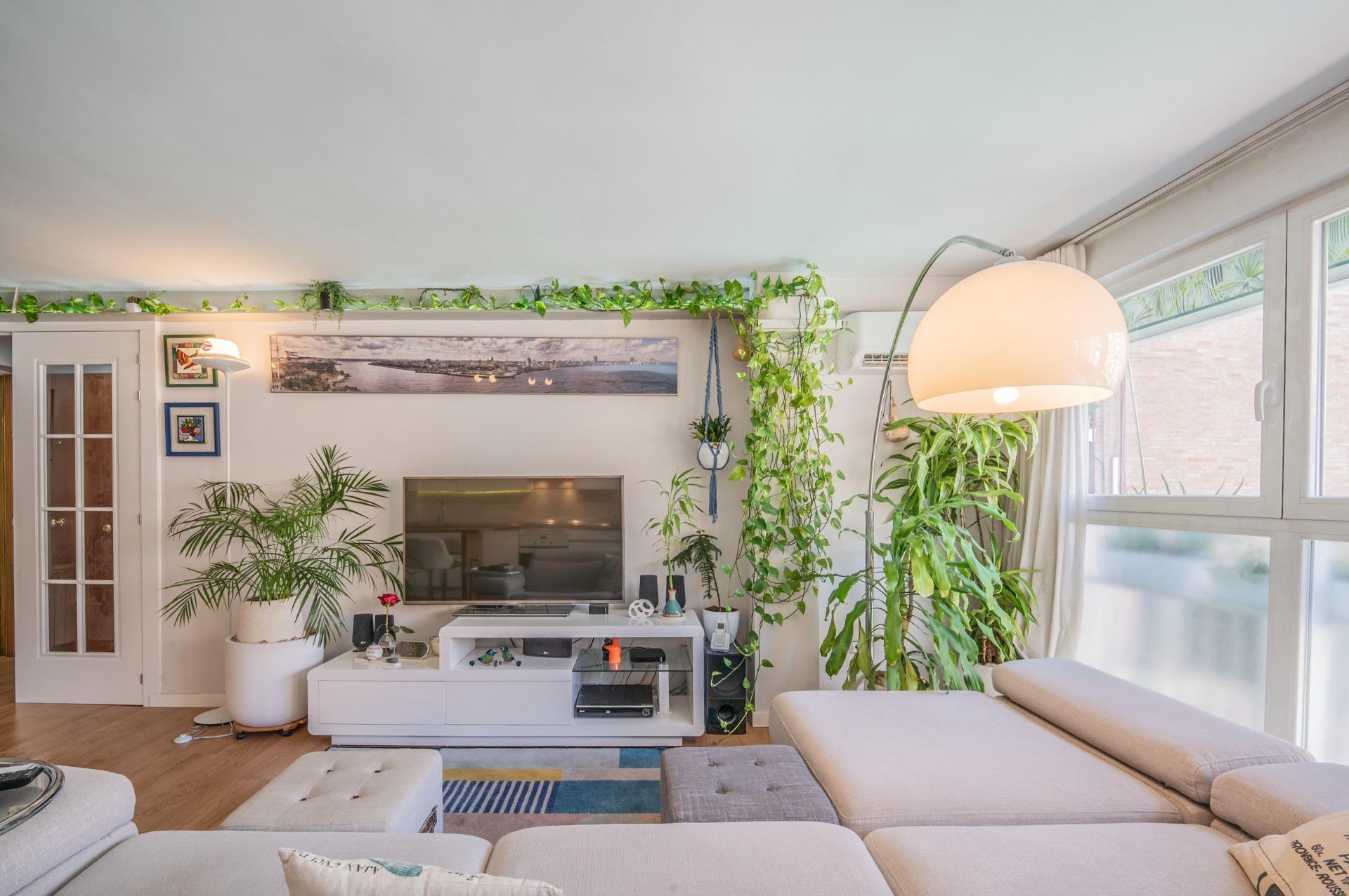 ¡¡Luminoso, moderno y listo para entrar a vivir | Junto a Pl - foto 10
