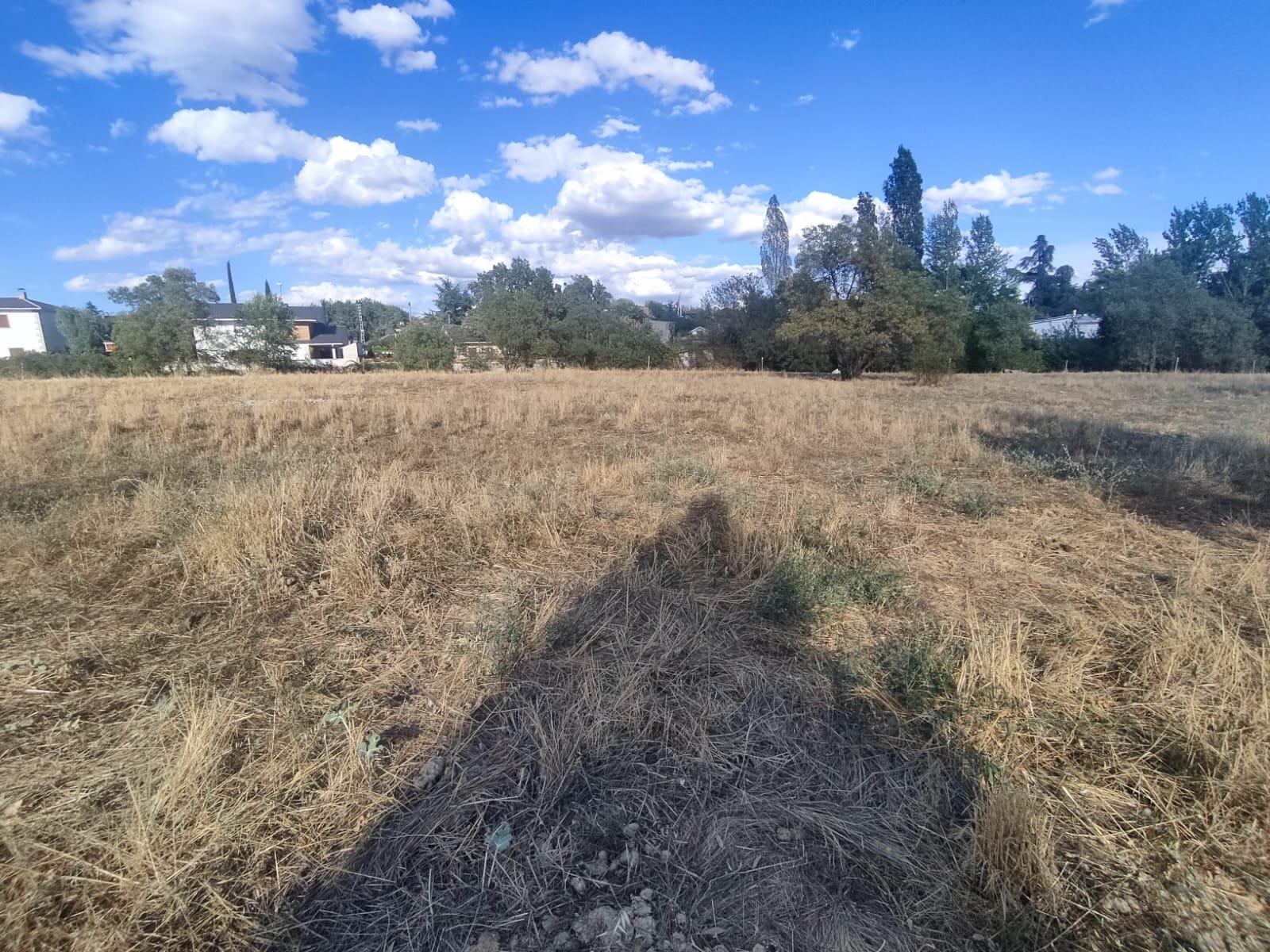 Oportunidad Única: Amplia Parcela en Urbanización Consolidad - foto 2
