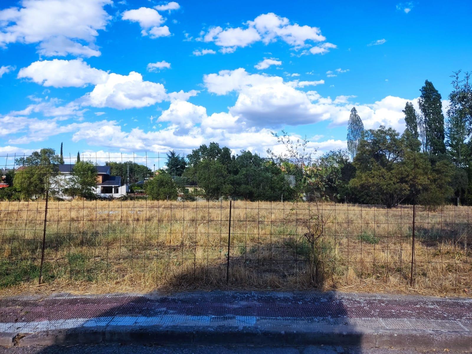 Oportunidad Única: Amplia Parcela en Urbanización Consolidad - foto 3