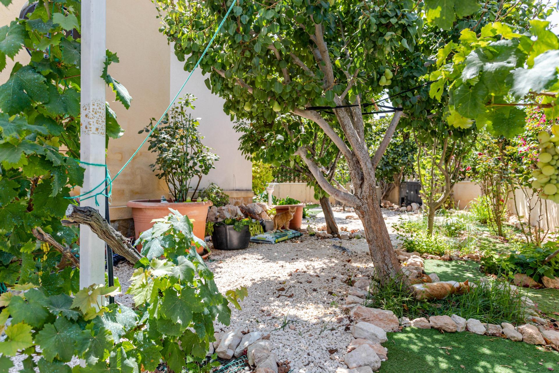 Amplio bungalow en planta baja con parcela de 150 m2 y aparc - foto 22