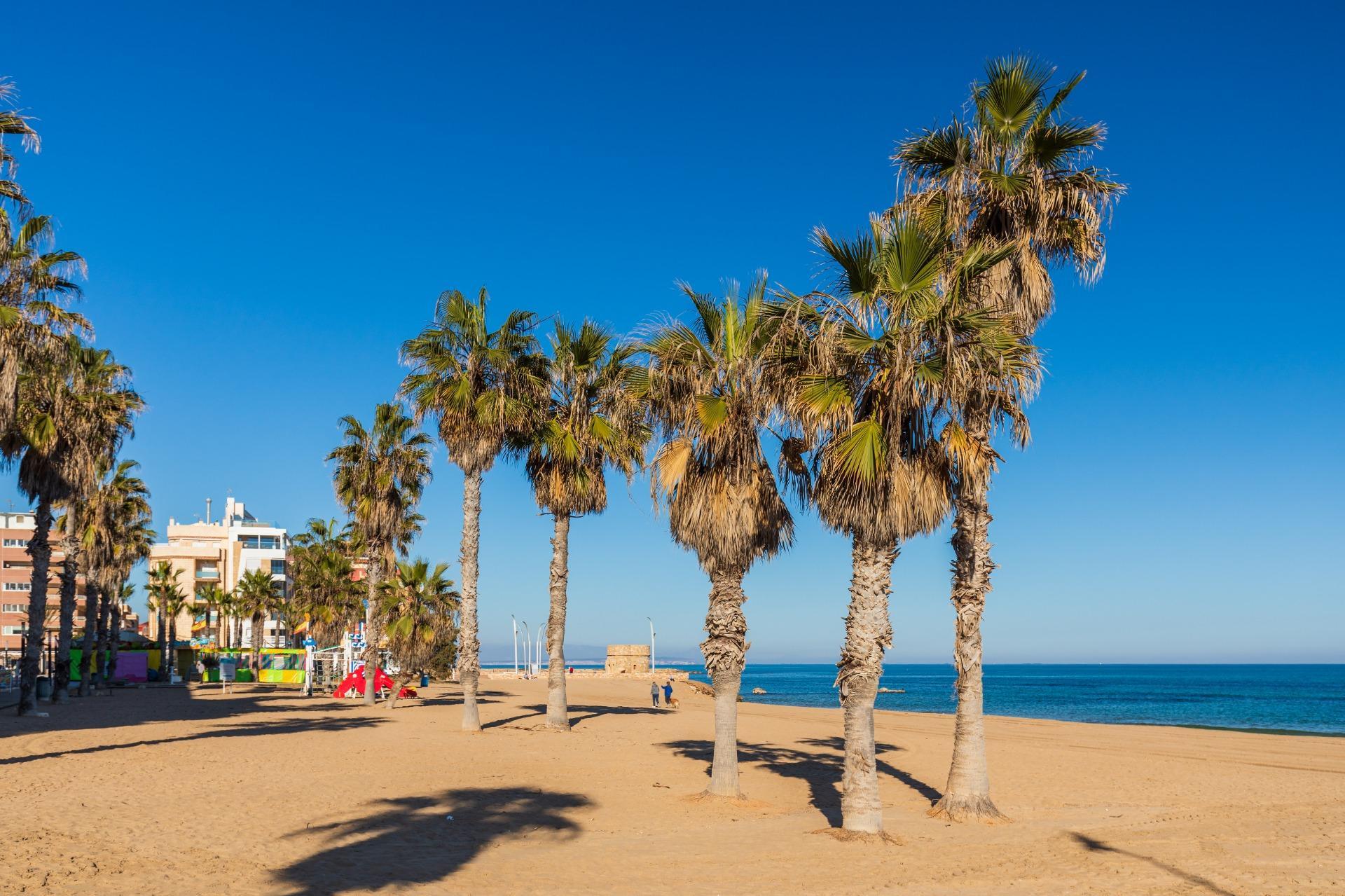 ¡Oportunidad Única en La Mata! Ático de 1 dormitorio a 350 m