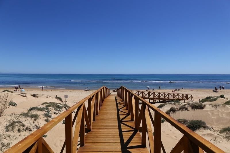 ¡Oportunidad Única en La Mata! Ático de 1 dormitorio a 350 m - foto 12