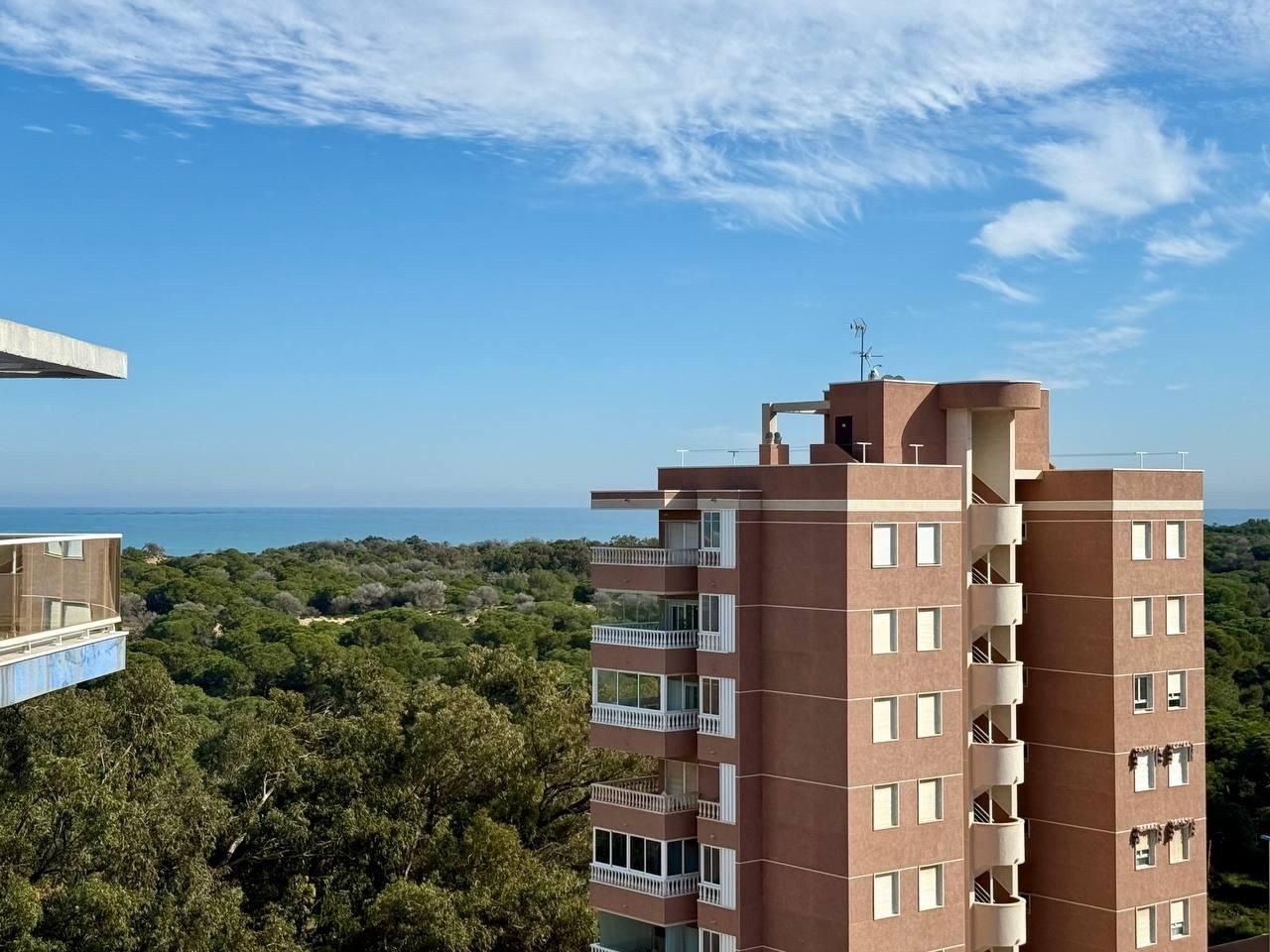 Apartamento 3 habitaciones 79m² en venta - Avenida del puert - foto 17