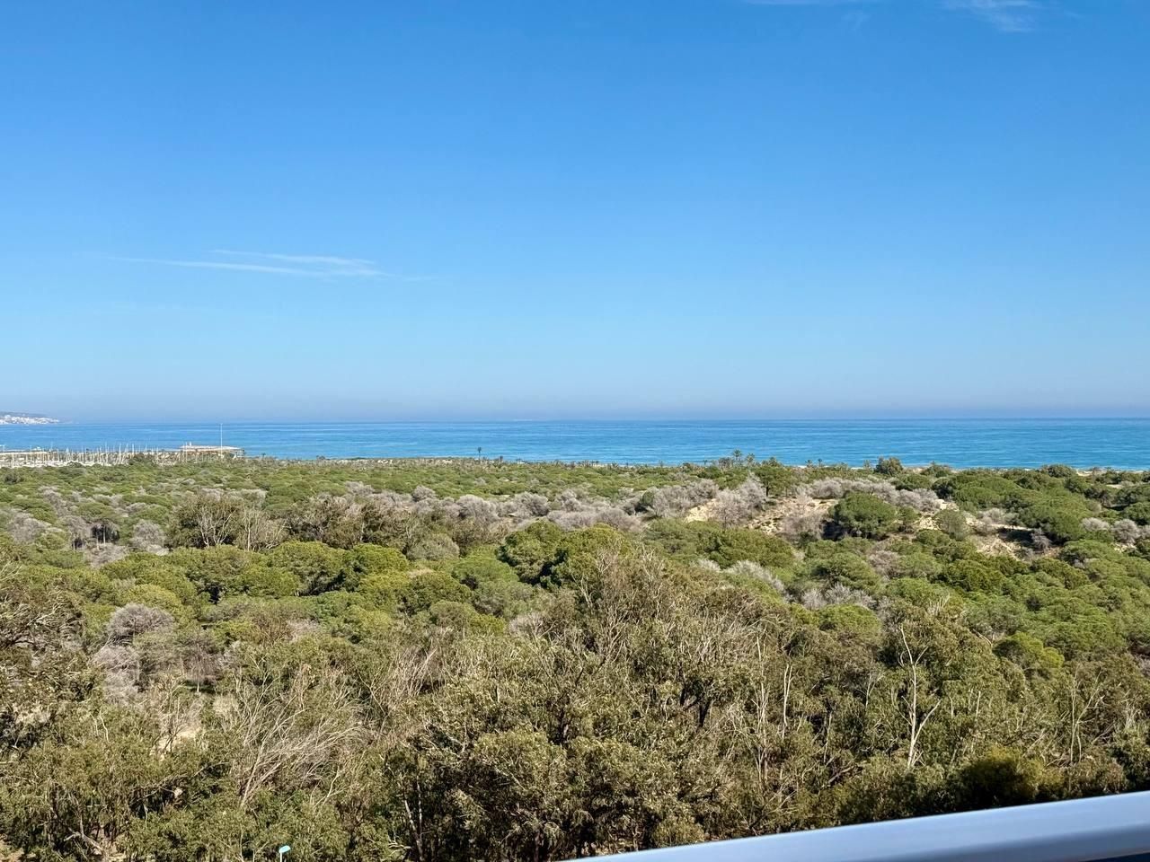 Apartamento 3 habitaciones 79m² en venta - Avenida del puert - foto 42