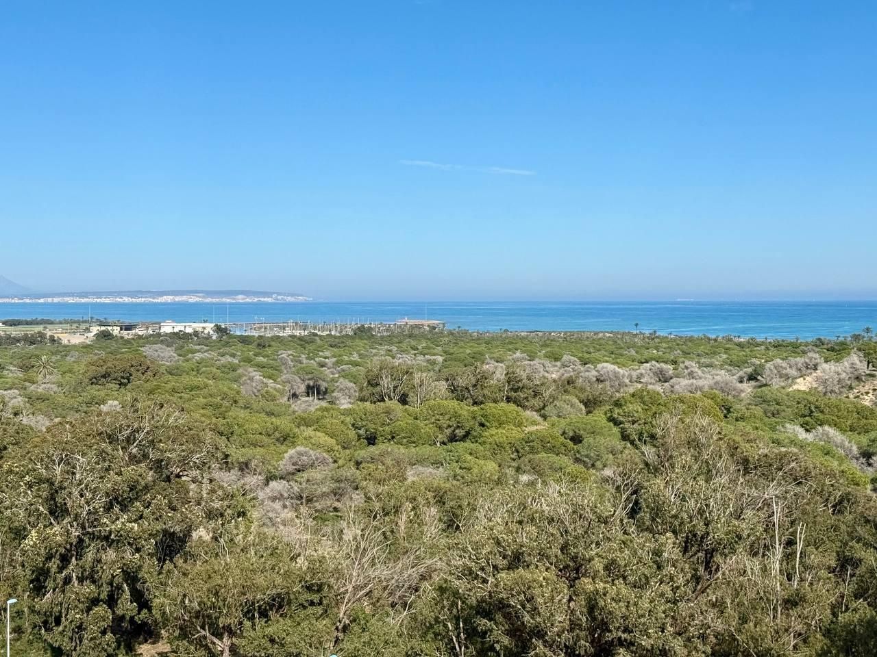 Apartamento 3 habitaciones 79m² en venta - Avenida del puert - foto 7